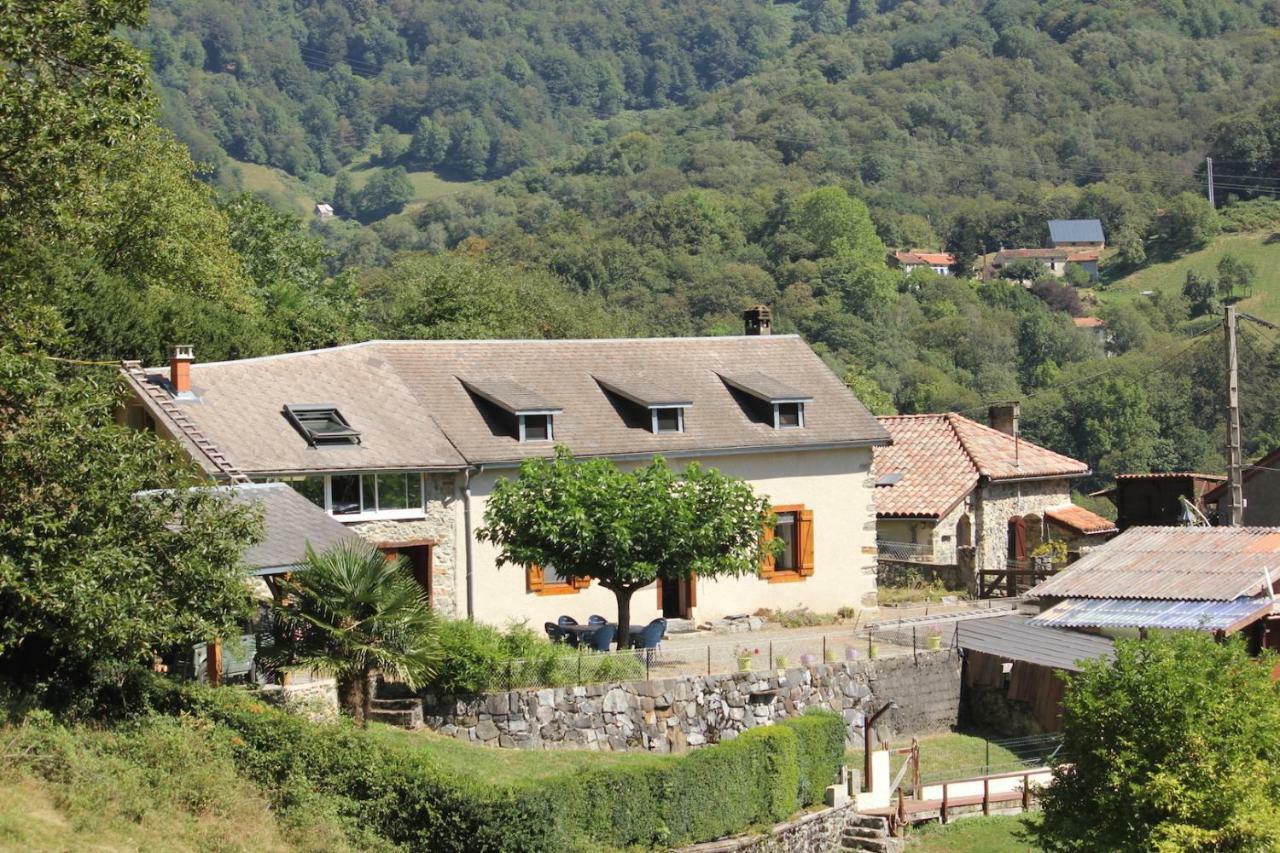 Maison Du Coue Pyrenees Mourtis Gite Pour 2 A 12 Pers Sengouagnet Exterior photo